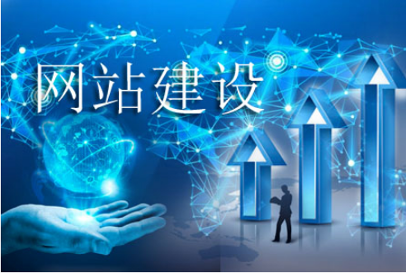 锐巴巴网络——打造你的网络营销利器